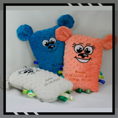 teddy bear with picture frame tummy