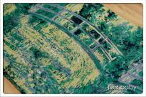 Water Lyly Pond With Japanese Bridge Scraps Natibaby Water-Lyly-Pond-with-Japanese-Bridge-01.jpg