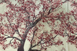 Fable Blossom, NATIGO CARRIER, [100% cotton]